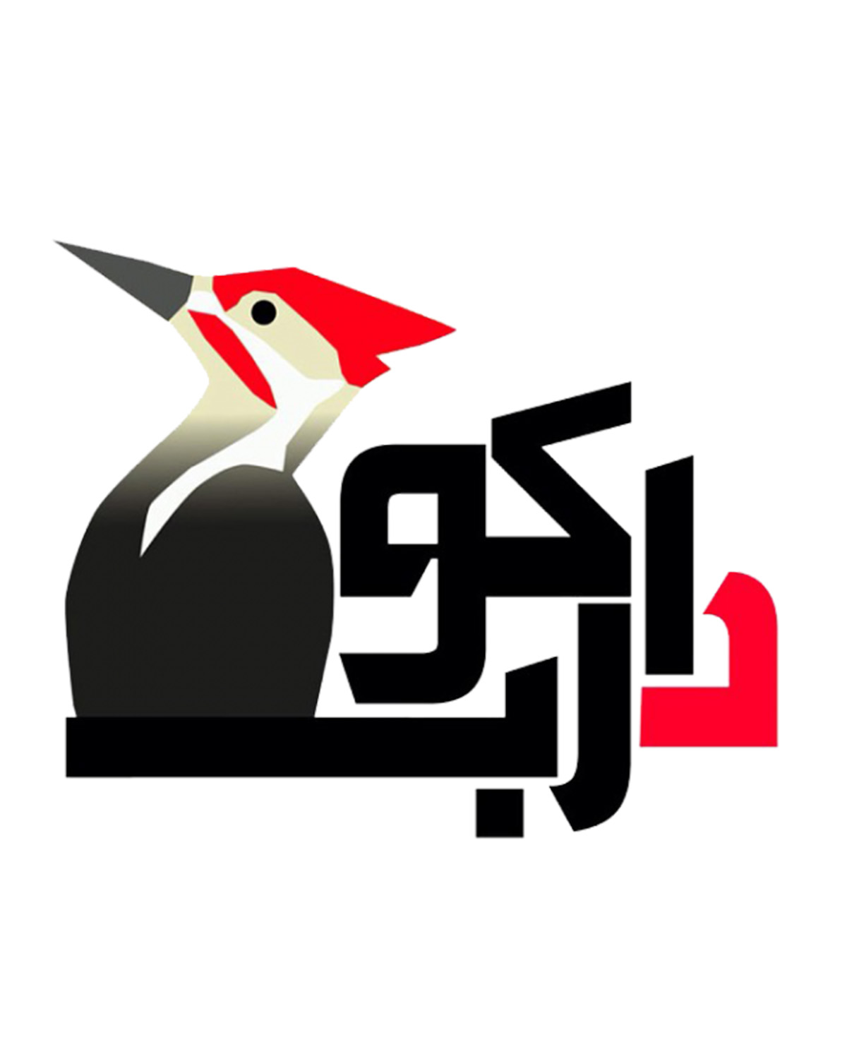 طراحی سایت و ساخت وب سایت بهینه سازی شده دارکوب